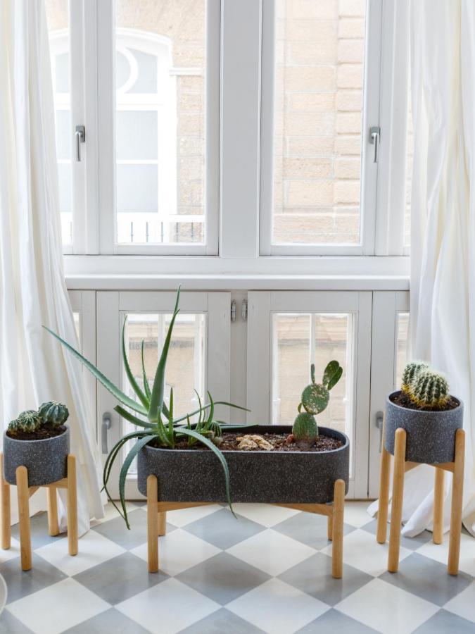 The Queen'S Designer Apartment By Cadiz4Rentals 外观 照片